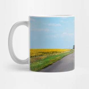 road through the blooming meadow Mug